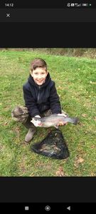 Rainbow Trout