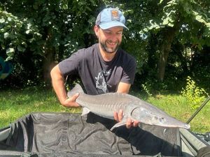 Sturgeon