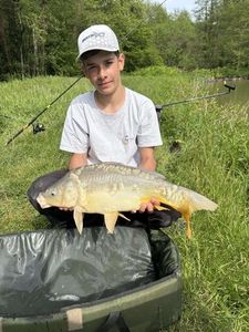 Mirror Carp
