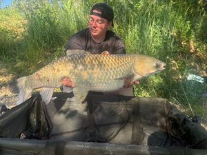 Grass Carp