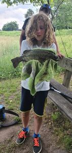 Largemouth Bass