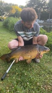 Mirror Carp