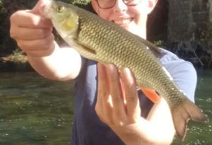 Chub