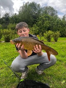 Common Carp