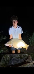 Leather Carp