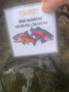 Rainbow Trout