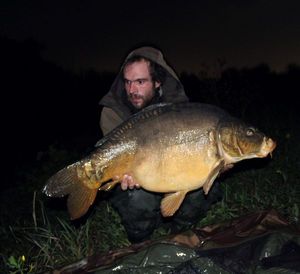 Mirror Carp
