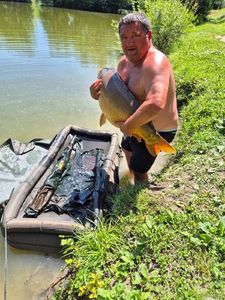 Mirror Carp
