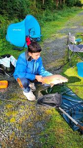 Mirror Carp