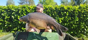 Mirror Carp