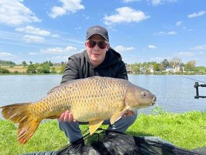 Common Carp
