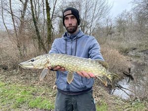 Northern Pike