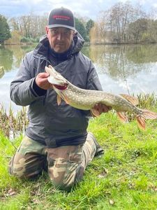 Northern Pike
