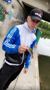 European Perch
