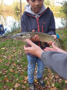 Northern Pike