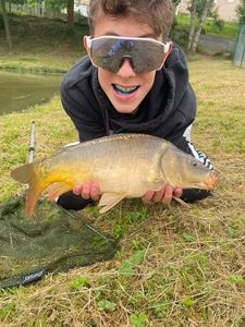 Mirror Carp