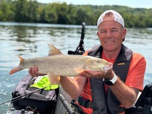 Barbel