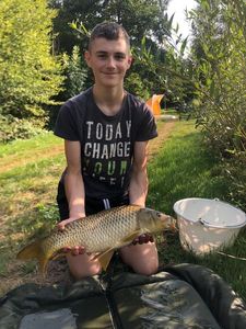 Common Carp