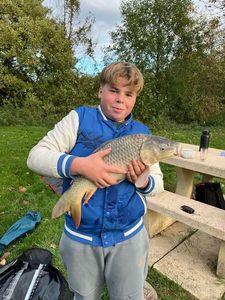 Common Carp