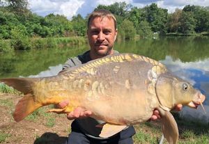 Mirror Carp