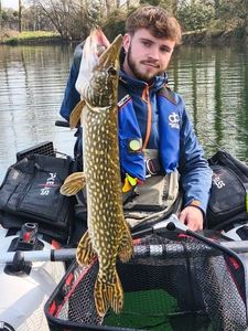 Northern Pike