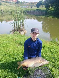 Mirror Carp
