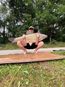 Grass Carp