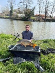 Mirror Carp