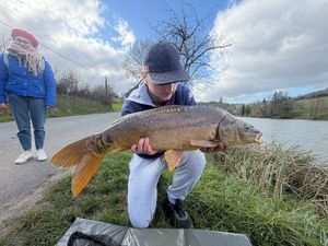Mirror Carp
