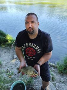 Crucian Carp