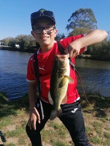 Largemouth Bass