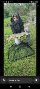 Northern Pike