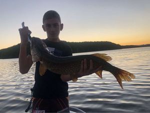 Northern Pike
