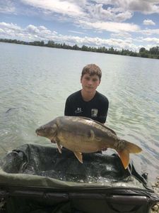 Mirror Carp