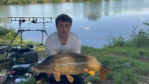 Common Carp