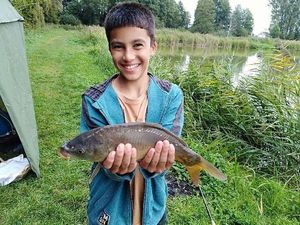 Common Carp