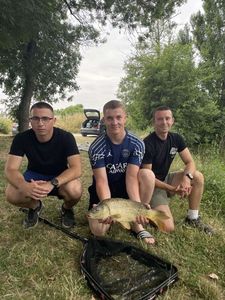 Common Carp