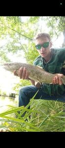 Sea Trout