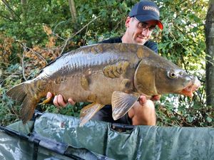 Mirror Carp