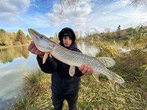 Northern Pike