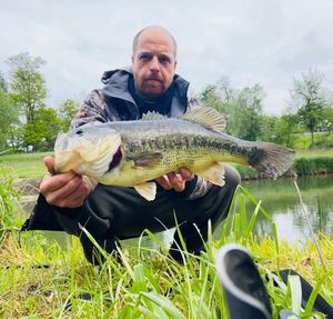 Largemouth Bass