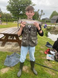 Rainbow Trout