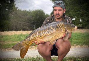 Mirror Carp