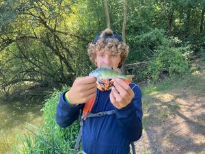 European Perch
