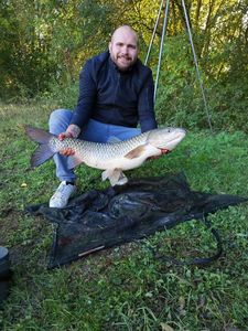 Grass Carp