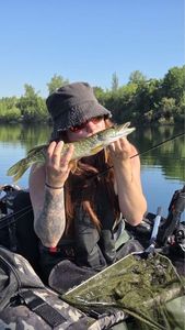 Northern Pike