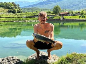 Rainbow Trout