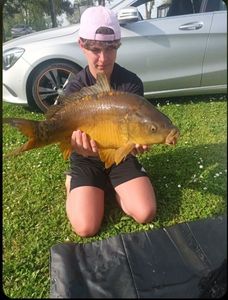 Leather Carp