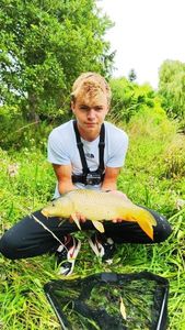 Common Carp