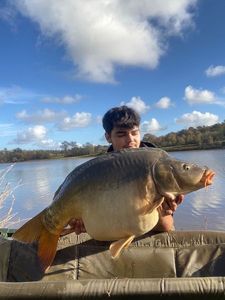 Mirror Carp
